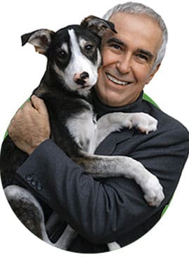 Ian-Dubar--Academia-Dog-Solution