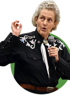 Temple-Grandin-Academia-DogSolution