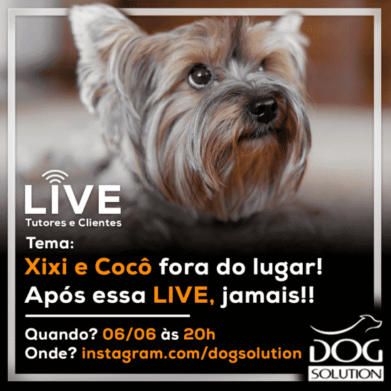 Xixi e Cocô fora do lugar! Após essa LIVE, jamais!!