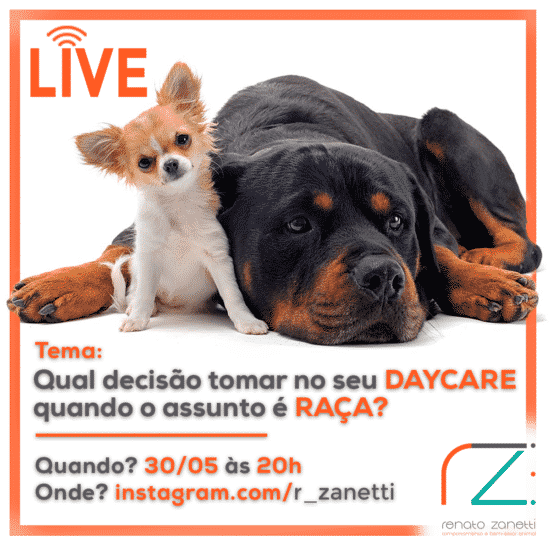 Qual a decisão tomar no seu DAYCARE quando o assunto é RAÇA?