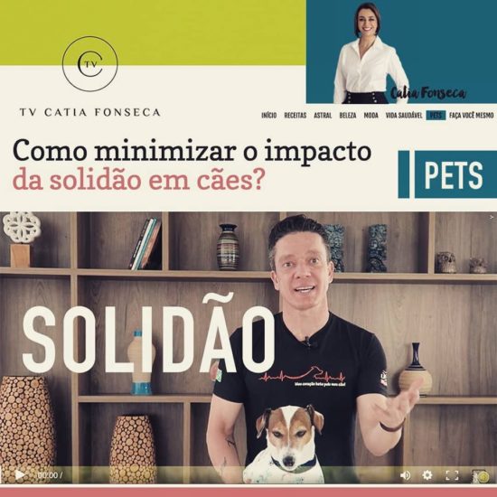 🎬 Solidão canina? Tem vídeo novo na TV Cátia Fonseca ⠀⠀⠀⠀⠀⠀⠀⠀⠀