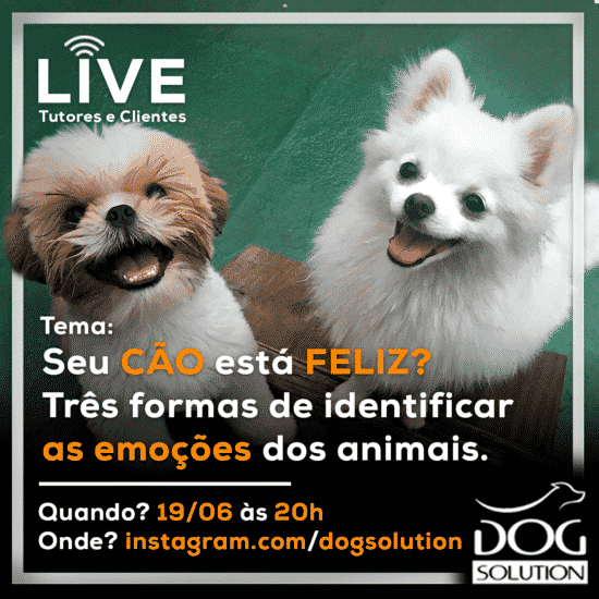 [LIVE] Seu CÃO está FELIZ? Três formas de identificar as emoções dos animais