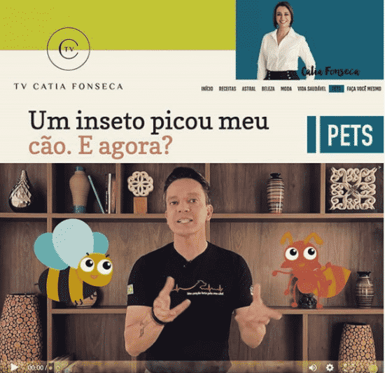 Um inseto picou meu cão. E agora?