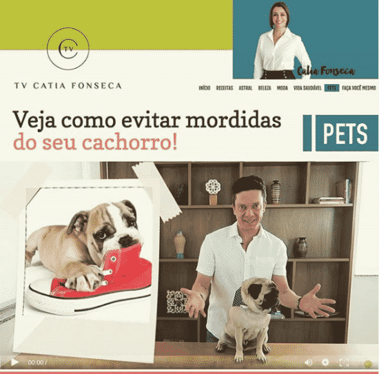 Veja como evitar mordidas do seu cachorro!